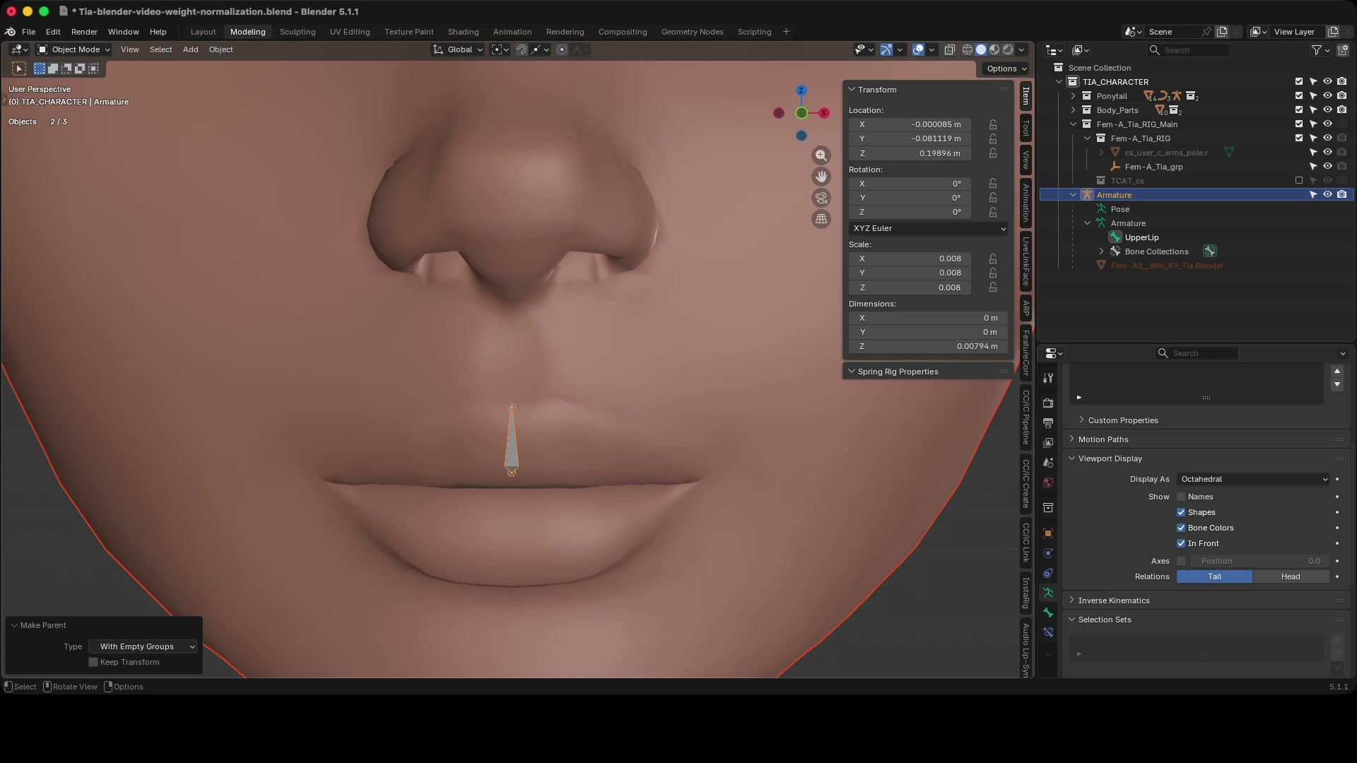 The UpperLip bone positioned on the face of the upper lip